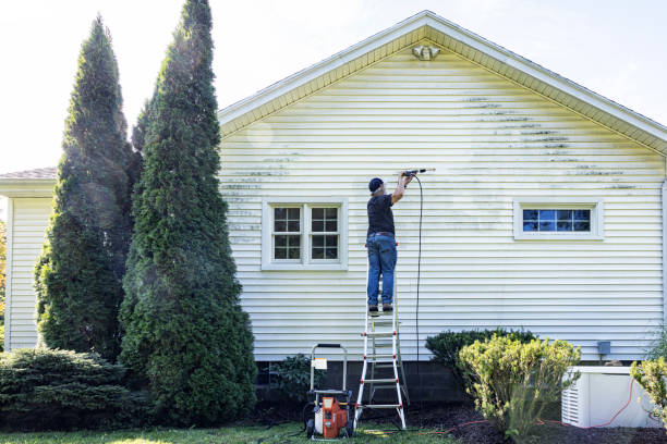 Best Dumpster Area Cleaning  in Thornwood, NY